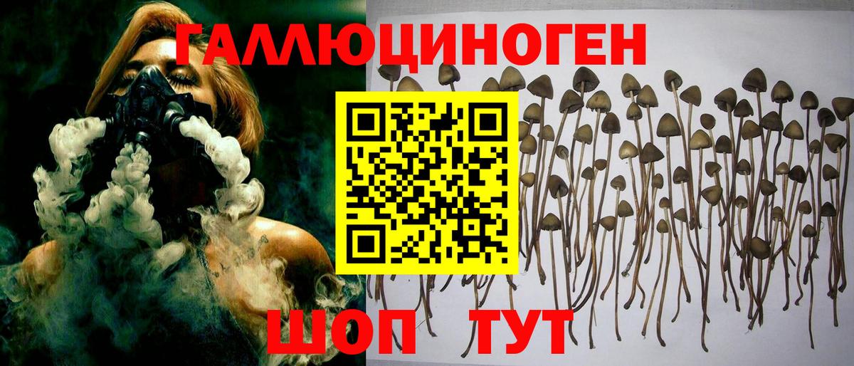 Галлюциногенные грибы ЛСД Благовещенск
