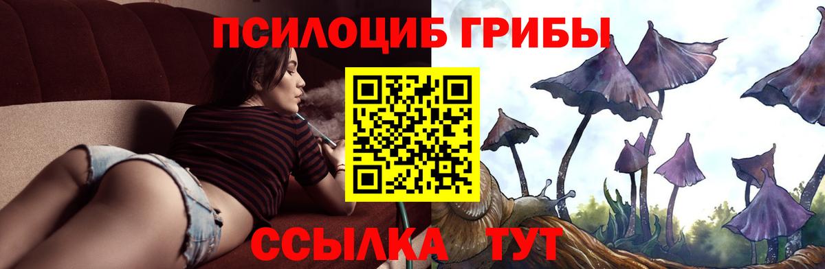 Псилоцибиновые грибы Cubensis  где найти наркотики  Вход с VPN  Благовещенск  Псилоцибиновые грибы MAGIC MUSHROOMS 